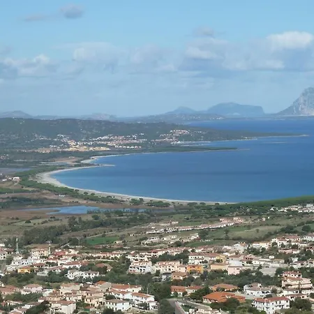 Edera