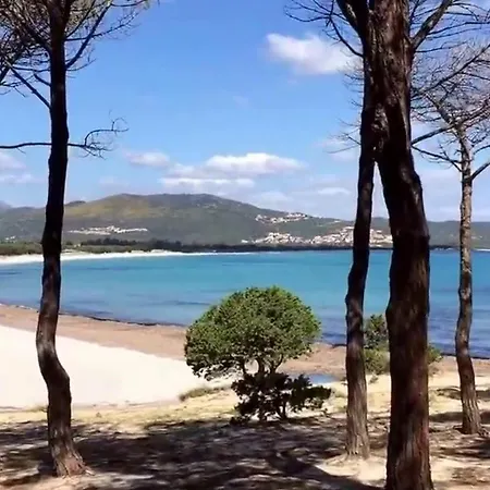 Διαμέρισμα Edera Budoni