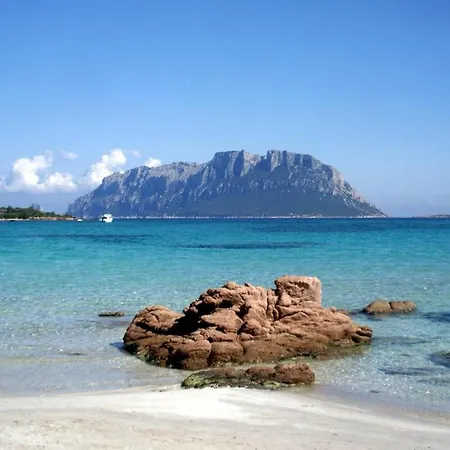 Edera Διαμέρισμα