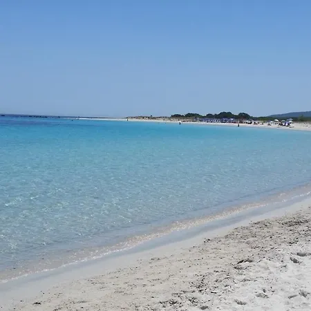Edera Διαμέρισμα *