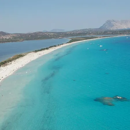 Διαμέρισμα Edera *