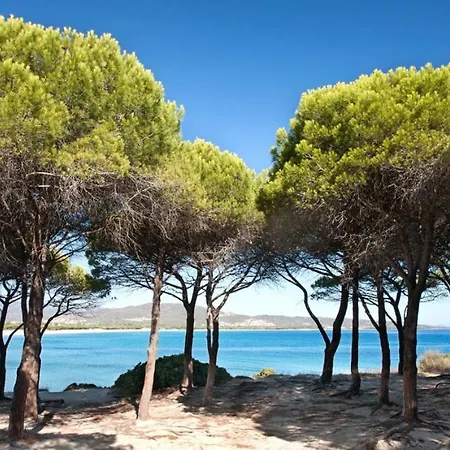 Edera Διαμέρισμα Budoni